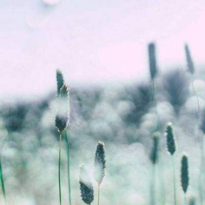 星力正版捕鱼截图